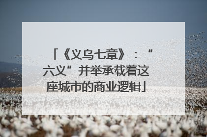 《义乌七章》：“六义”并举承载着这座城市的商业逻辑