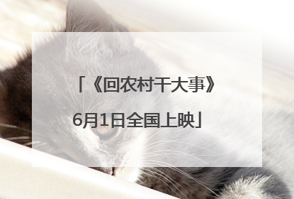 《回农村干大事》6月1日全国上映
