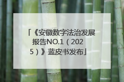 《安徽数字法治发展报告NO.1（2025）》蓝皮书发布