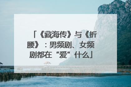 《藏海传》与《折腰》：男频剧、女频剧都在“爱”什么