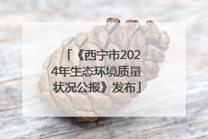《西宁市2024年生态环境质量状况公报》发布