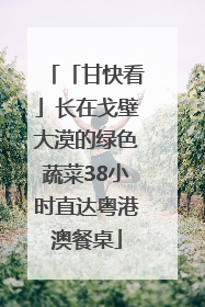 「甘快看」长在戈壁大漠的绿色蔬菜38小时直达粤港澳餐桌