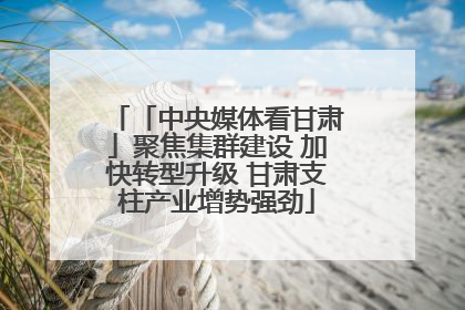 「中央媒体看甘肃」聚焦集群建设 加快转型升级 甘肃支柱产业增势强劲