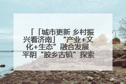 「城市更新 乡村振兴看济南」“产业+文化+生态”融合发展 平阴“胶乡古镇”探索振兴路径成效显著