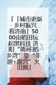 「城市更新· 乡村振兴看济南」5000亩稻田玩起黑科技 济阳“黄河·稻乡湾”靠“非遗+露营”火出圈