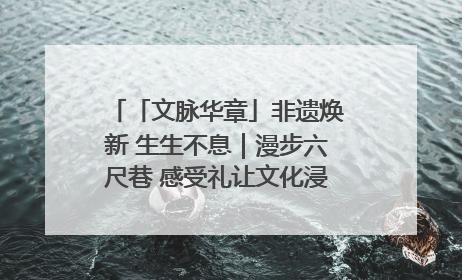 「文脉华章」非遗焕新 生生不息｜漫步六尺巷 感受礼让文化浸润的“巷”往生活