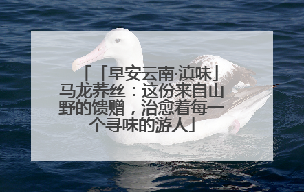 「早安云南·滇味」马龙荞丝：这份来自山野的馈赠，治愈着每一个寻味的游人