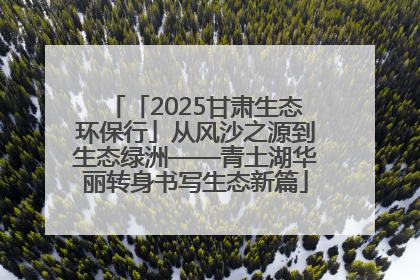 「2025甘肃生态环保行」从风沙之源到生态绿洲——青土湖华丽转身书写生态新篇