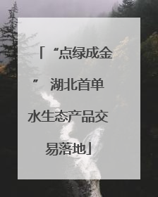 “点绿成金” 湖北首单水生态产品交易落地