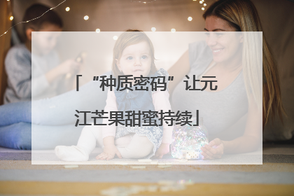 “种质密码”让元江芒果甜蜜持续