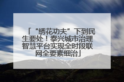 “绣花功夫”下到民生要处！泰兴城市治理智慧平台实现全时段联网全要素细治