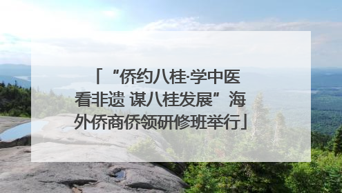 “侨约八桂·学中医 看非遗 谋八桂发展”海外侨商侨领研修班举行
