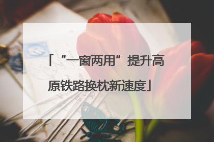 “一窗两用”提升高原铁路换枕新速度