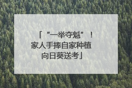 “一举夺魁”！家人手捧自家种植向日葵送考