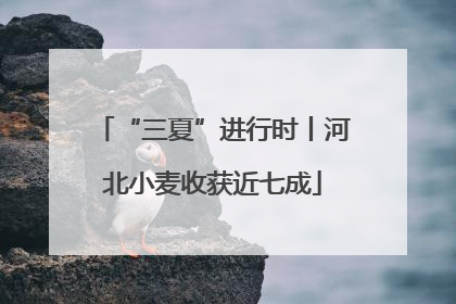 “三夏”进行时丨河北小麦收获近七成
