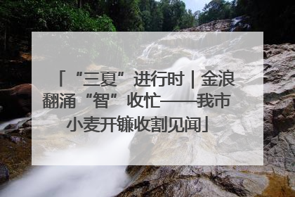 “三夏”进行时｜金浪翻涌“智”收忙——我市小麦开镰收割见闻