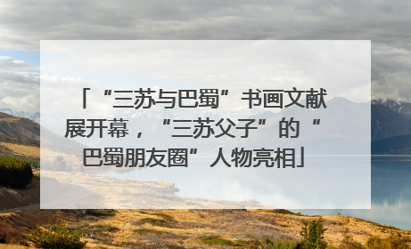 “三苏与巴蜀”书画文献展开幕，“三苏父子”的“巴蜀朋友圈”人物亮相