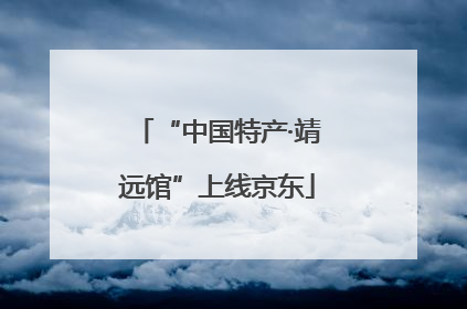 “中国特产·靖远馆”上线京东