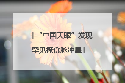 “中国天眼”发现罕见掩食脉冲星