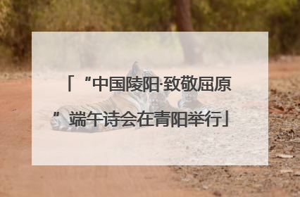 “中国陵阳·致敬屈原”端午诗会在青阳举行