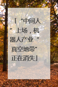 “中间人”上场，机器人产业“真空地带”正在消失