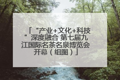 “产业+文化+科技”深度融合 第七届九江国际名茶名泉博览会开幕（组图）