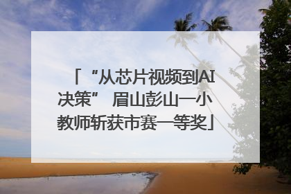 “从芯片视频到AI决策” 眉山彭山一小教师斩获市赛一等奖
