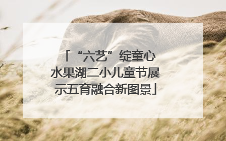 “六艺”绽童心 水果湖二小儿童节展示五育融合新图景