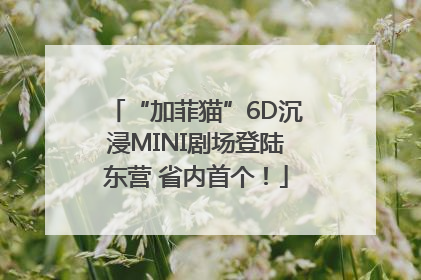 “加菲猫”6D沉浸MINI剧场登陆东营 省内首个！