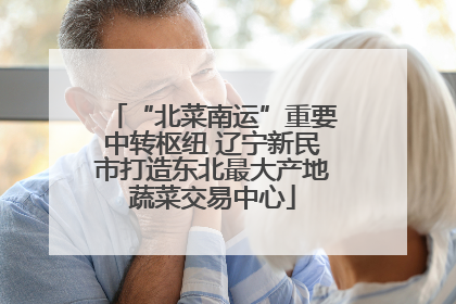 “北菜南运”重要中转枢纽 辽宁新民市打造东北最大产地蔬菜交易中心