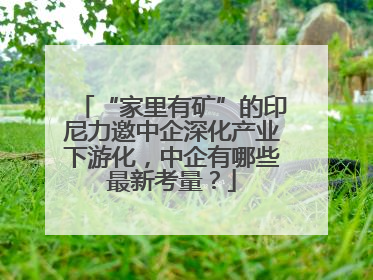 “家里有矿”的印尼力邀中企深化产业下游化，中企有哪些最新考量？