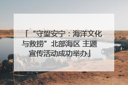 “守望安宁：海洋文化与救捞”北部海区 主题宣传活动成功举办