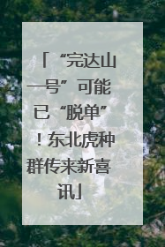 “完达山一号”可能已“脱单”！东北虎种群传来新喜讯