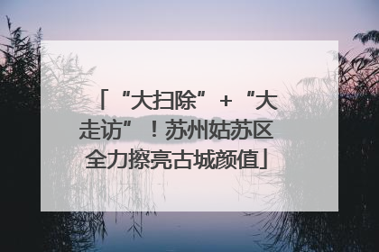 “大扫除”+“大走访”！苏州姑苏区全力擦亮古城颜值