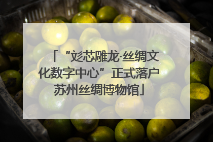 “彣芯雕龙·丝绸文化数字中心”正式落户苏州丝绸博物馆