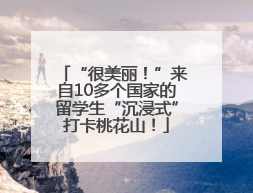 “很美丽！”来自10多个国家的留学生“沉浸式”打卡桃花山！