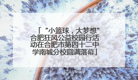 “小篮球，大梦想”合肥狂风公益校园行活动在合肥市第四十二中学南城分校圆满落幕