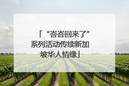 “峇峇回来了”系列活动传续新加坡华人情缘