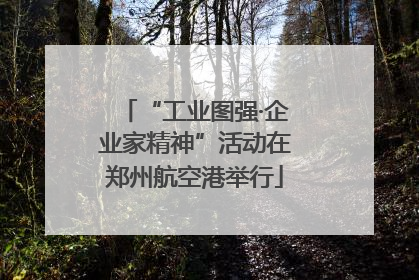 “工业图强·企业家精神”活动在郑州航空港举行