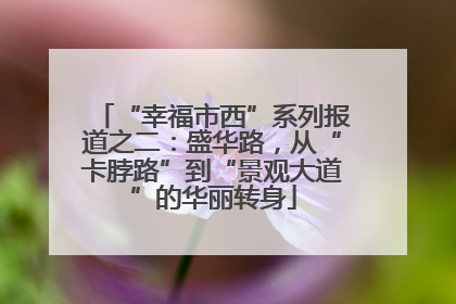 “幸福市西”系列报道之二：盛华路，从“卡脖路”到“景观大道”的华丽转身