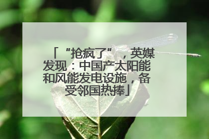 “抢疯了”，英媒发现：中国产太阳能和风能发电设施，备受邻国热捧