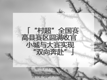 “村超”全国赛高县赛区圆满收官 小城与大赛实现“双向奔赴”