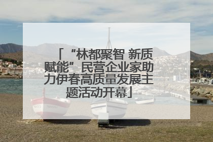 “林都聚智 新质赋能”民营企业家助力伊春高质量发展主题活动开幕