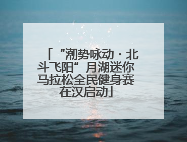“潮势咏动・北斗飞阳”月湖迷你马拉松全民健身赛在汉启动
