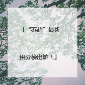 “苏超”最新积分榜出炉！