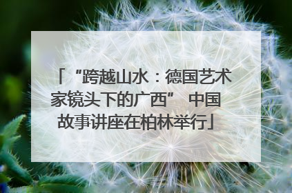 “跨越山水：德国艺术家镜头下的广西” 中国故事讲座在柏林举行