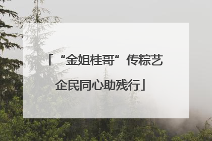 “金姐桂哥”传粽艺 企民同心助残行