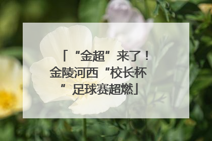 “金超”来了！金陵河西“校长杯”足球赛超燃