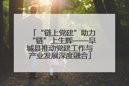 “链上党建”助力“链”上生辉——阜城县推动党建工作与产业发展深度融合