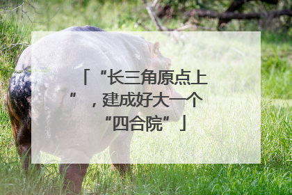 “长三角原点上”，建成好大一个“四合院”